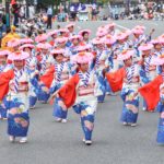 博多どんたく2019！日程や場所は？最新おすすめ情報をチェック！