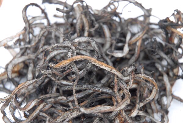 いか太郎本舗のイカスミ味のいか太郎