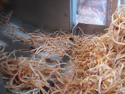 いか太郎本舗のいかを細かく細断