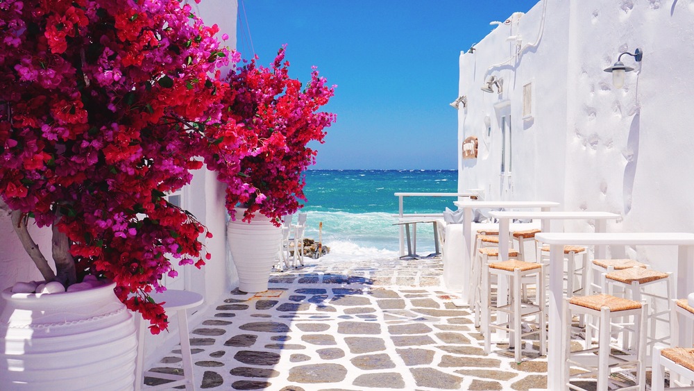 ハッピークルーズ HAPPY CRUISE 旅行 トラベル