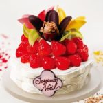 クリスマスケーキ2020特集♡予約殺到の東京クリスマスケーキ20選