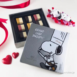 約4000円分 帝国ホテル スヌーピー チョコレート 料理長 2種類3個セット