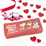 イオンで発見【スヌーピーバレンタイン】750円なの!? チョコ入りペンケースポーチが激かわでしょ♡