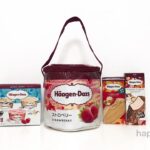 イオンで発見【ハーゲンダッツお楽しみ袋】保冷バッグ付きアイス福袋!気になる中身をチェック♡
