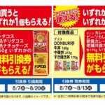 【ローソンストア100】「1個買うと1個もらえる」8/7(水)〜8/13(火)の対象商品をチェック♡