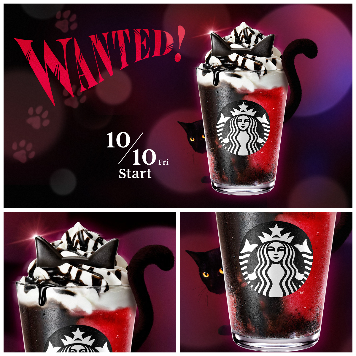 【スタバ新作×ハロウィン】黒猫フラペチーノが新登場♡猫耳チョコ×アサイーベリーが可愛すぎる〜♡