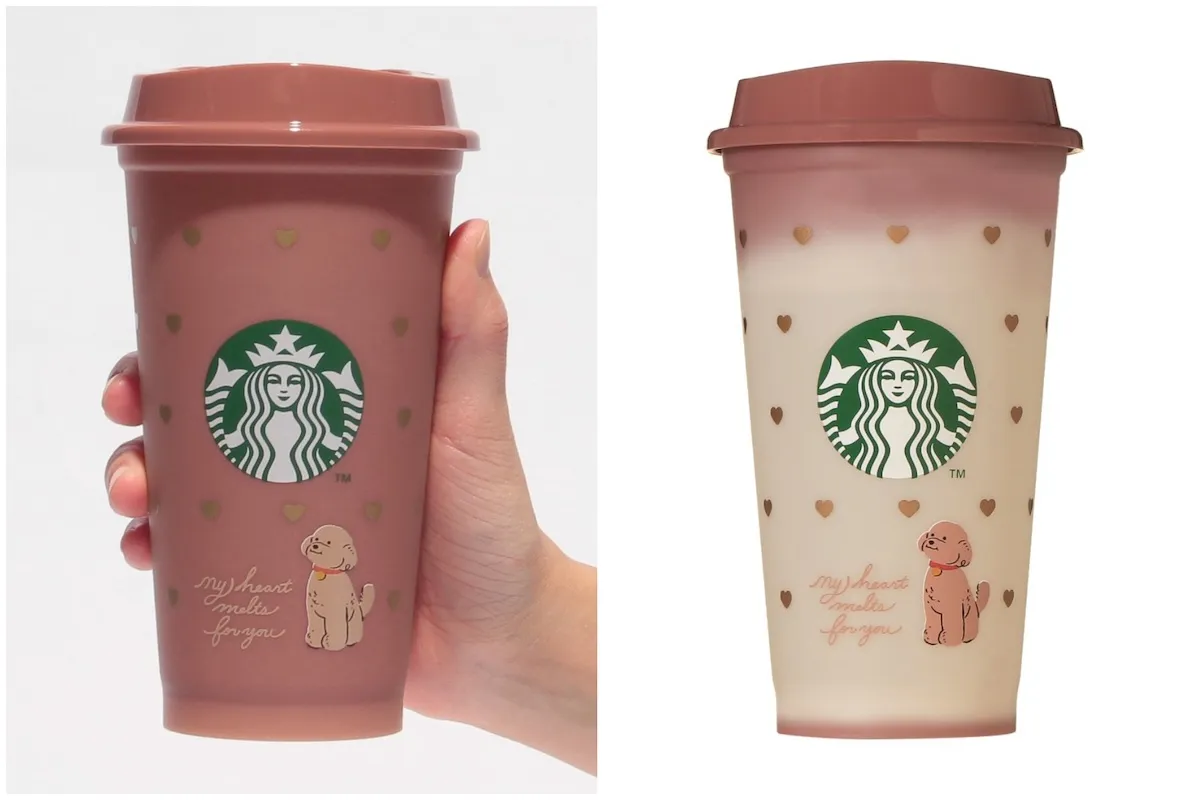 【スタバのバレンタイン2026】新作グッズは犬・猫・チョコまみれ♡可愛すぎる全商品を一気見せ♡
