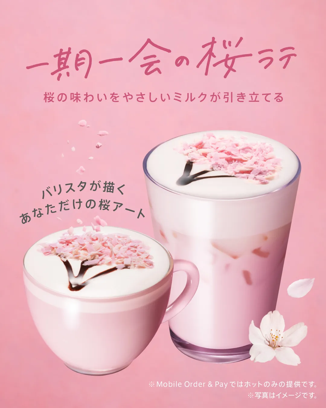 【スタバ新作ドリンク】桜×白桃のSAKURAビバレッジ3種(フラペチーノ・ラテ・ソーダ)登場♡2026年2月18日(水)新発売!