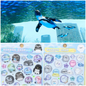 東京都【サンシャイン水族館】ボンドロ「海のいきものたち（ペンギン・アザラシ）」付き特別チケット！4月11日(土)10:00からアソビュー！で先着販売☆