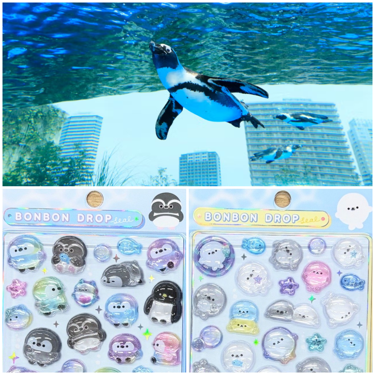 東京都【サンシャイン水族館】ボンドロ「海のいきものたち(ペンギン・アザラシ)」付き特別チケット!4月11日(土)10:00からアソビュー!で先着販売☆