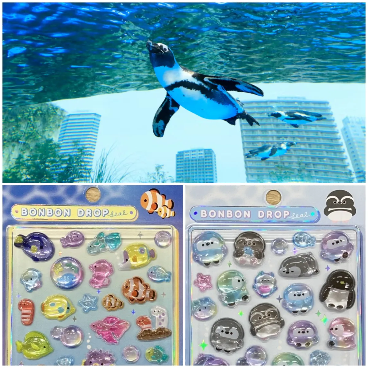 5/13(水)開始【サンシャイン水族館(東京都)】ボンドロ「熱帯魚・ペンギン」付き特別チケット！5月13日(水)10:00～アソビュー！で先着販売☆
