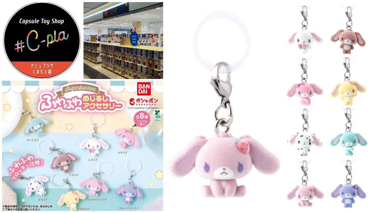 カプセルトイ専門店シープラ アミュプラザくまもと店 シュガーバニーズ ふわふわめじるしアクセサリー抽選販売の告知画像