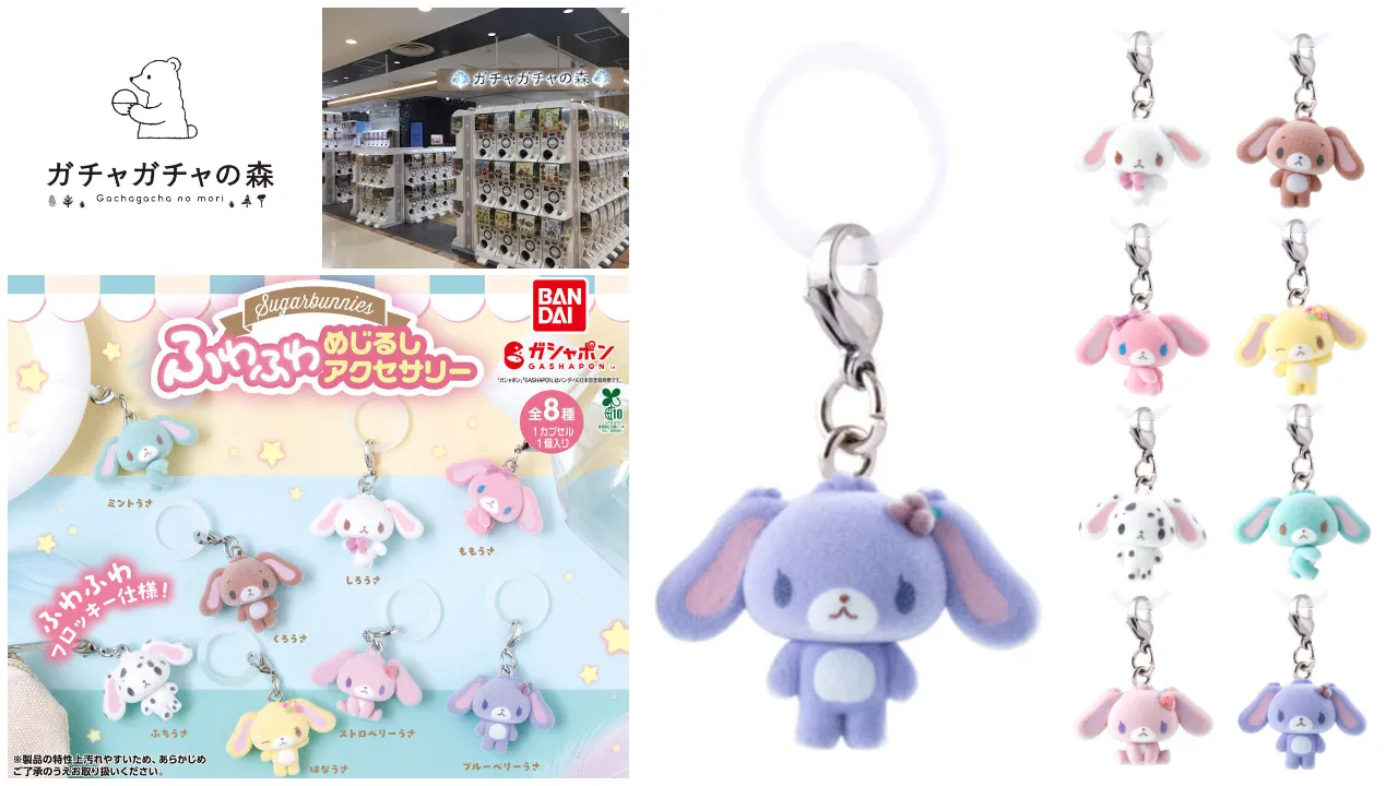 ガチャガチャの森 池袋サンシャインシティアルタ店(東京都) シュガーバニーズ ふわふわめじるしアクセサリー抽選販売の告知画像