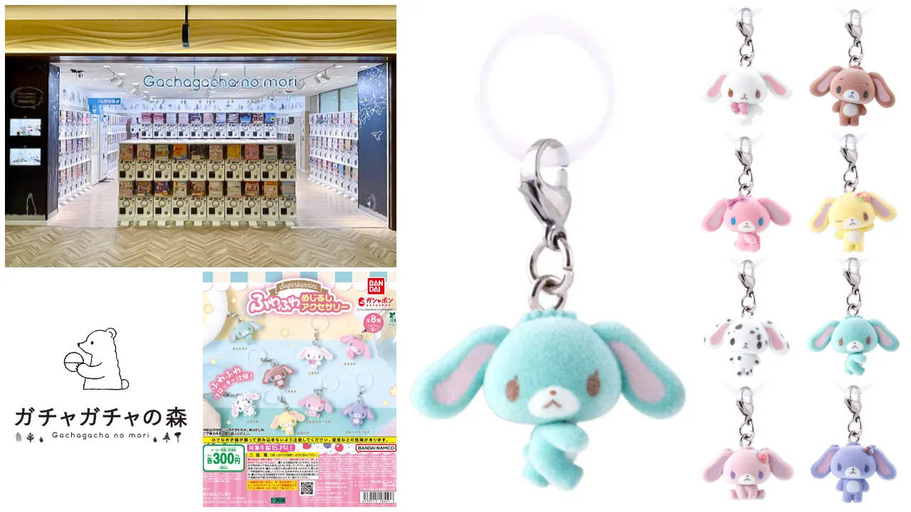 ガチャガチャの森 新宿サブナードEAST店(東京都) シュガーバニーズ ふわふわめじるしアクセサリー抽選販売の告知画像